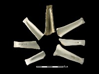 湯匙藏品圖，第1張