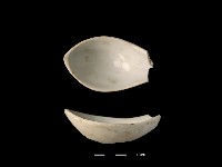 湯匙藏品圖，第1張