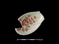 湯匙藏品圖，第1張