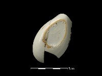 湯匙藏品圖，第2張