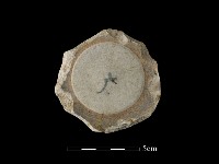 瓷片藏品圖，第1張