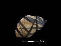 瓷蓋藏品圖，第1張