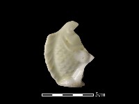 瓷偶藏品圖，第2張