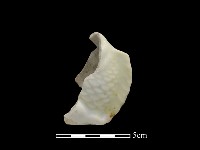 瓷偶藏品圖，第1張