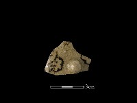 瓷蓋藏品圖，第3張