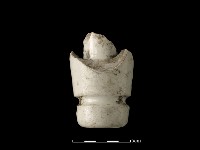 礙子藏品圖，第2張