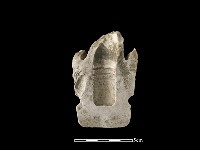 礙子藏品圖，第1張