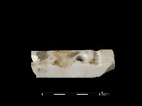 礙子藏品圖，第2張