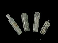 玻璃瓶藏品圖，第1張