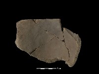 瓦片藏品圖，第1張