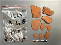 陶片藏品圖，第1張