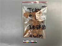 陶片藏品圖，第1張