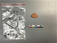 陶片藏品圖，第1張