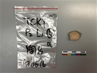 陶片藏品圖，第2張