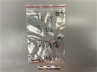 陶片藏品圖，第1張