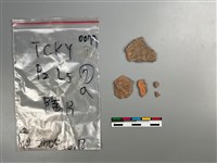 陶片藏品圖，第2張