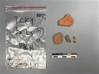 陶片藏品圖，第1張