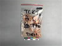 陶片藏品圖，第1張