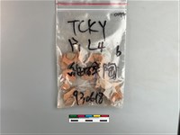 陶片藏品圖，第1張