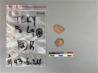 陶片藏品圖，第2張