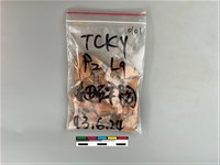 陶片藏品圖，第1張