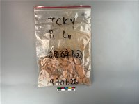 陶片藏品圖，第1張