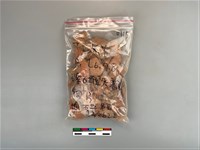 陶片藏品圖，第1張