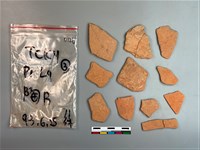 陶片藏品圖，第2張