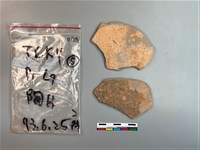 陶片藏品圖，第2張