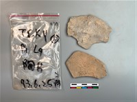 陶片藏品圖，第1張