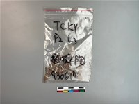 陶片藏品圖，第1張