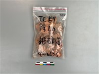 陶片藏品圖，第1張