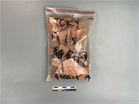 陶片藏品圖，第1張