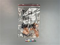 陶片藏品圖，第1張