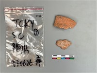 陶片藏品圖，第2張