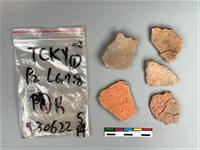 陶片藏品圖，第1張