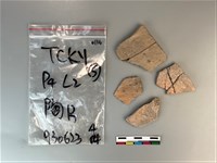 陶片藏品圖，第2張