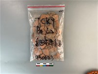 陶片藏品圖，第1張