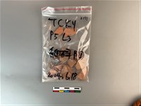 陶片藏品圖，第1張