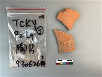 陶片藏品圖，第2張