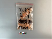 陶片藏品圖，第1張