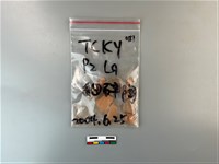 陶片藏品圖，第1張