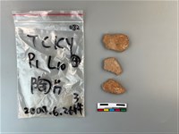 陶片藏品圖，第2張