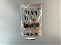 陶片藏品圖，第1張