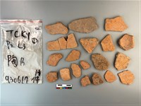 陶片藏品圖，第1張