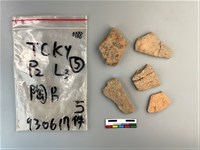 陶片藏品圖，第2張