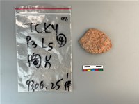 陶片藏品圖，第2張