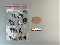 陶片藏品圖，第2張