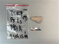 陶片藏品圖，第1張