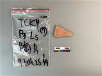 陶片藏品圖，第2張